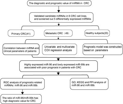 The High Ratio of the Plasma miR-96/miR-99b Correlated With Poor Prognosis in Patients With Metastatic Colorectal Cancer